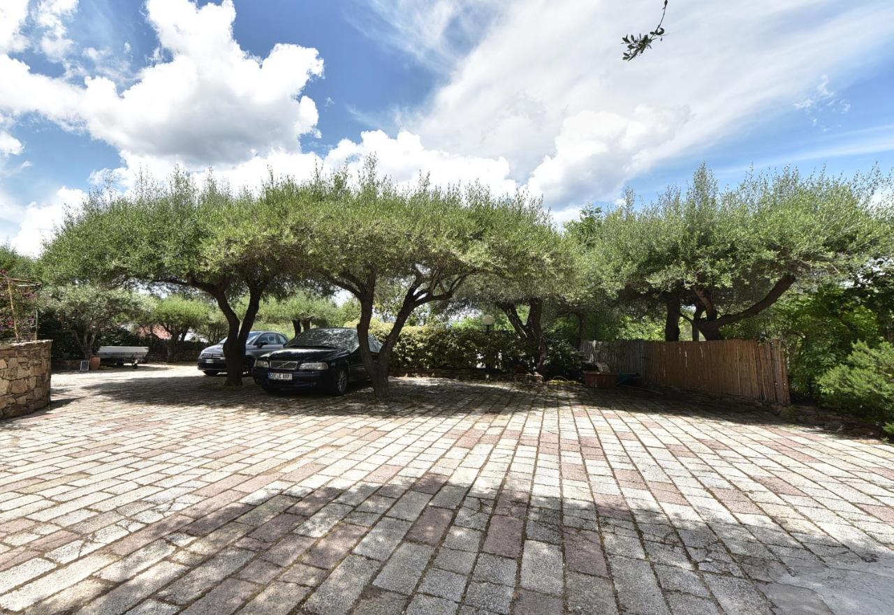 Villa Minda San Teodoro  Dış mekan fotoğraf