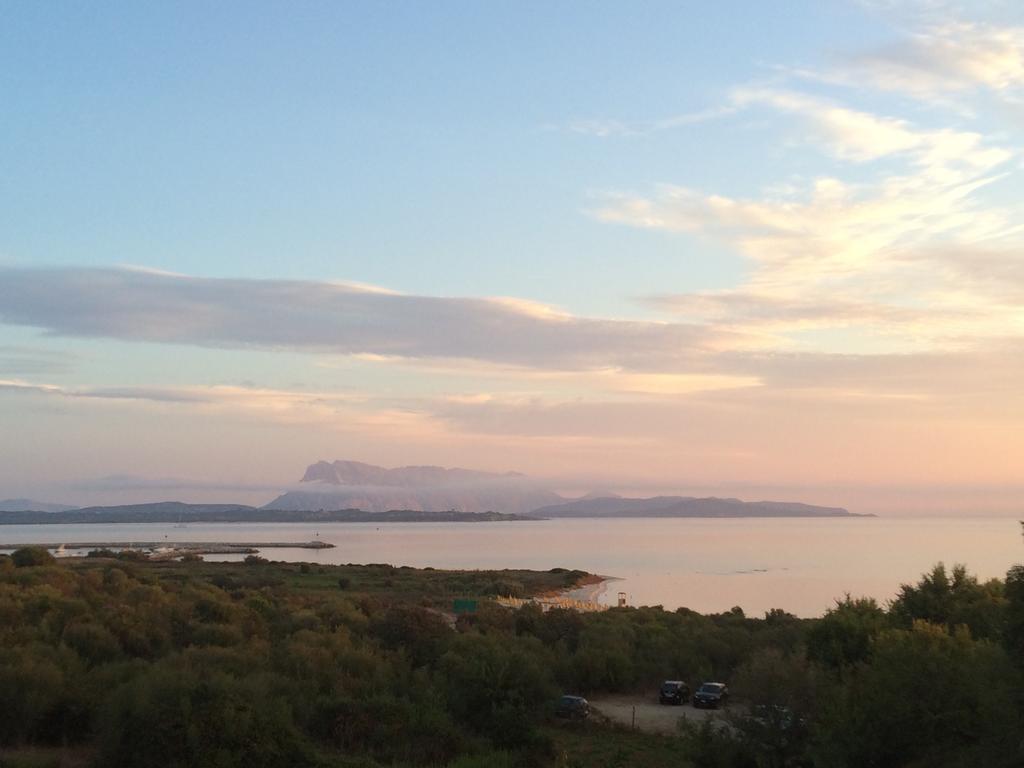 Villa Minda San Teodoro  Dış mekan fotoğraf